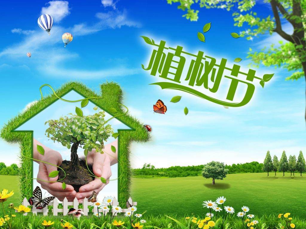 北京現(xiàn)代“智現(xiàn)代，植未來”，你我共建森林邵陽