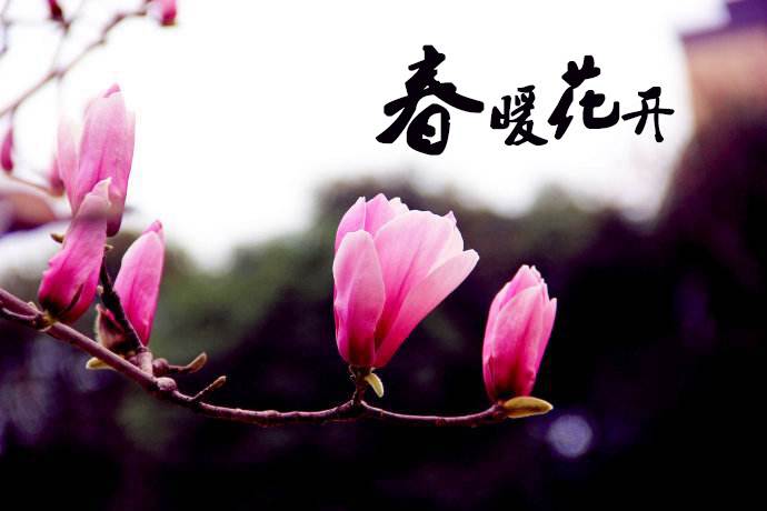 春暖花開(kāi) 教你春季如何做汽車(chē)保養(yǎng)！
